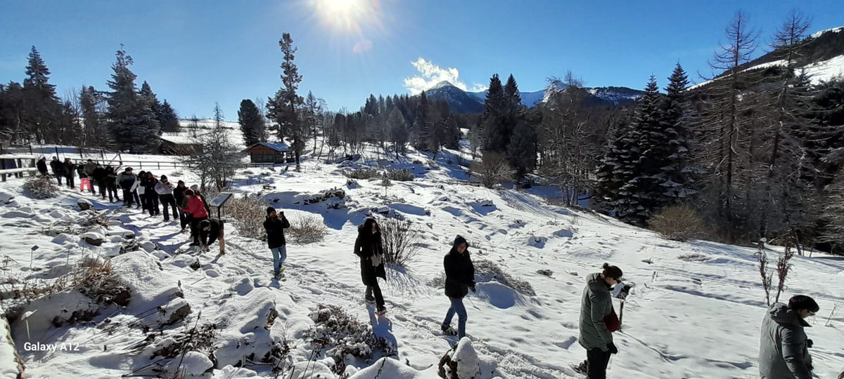 Participants walking in the snow