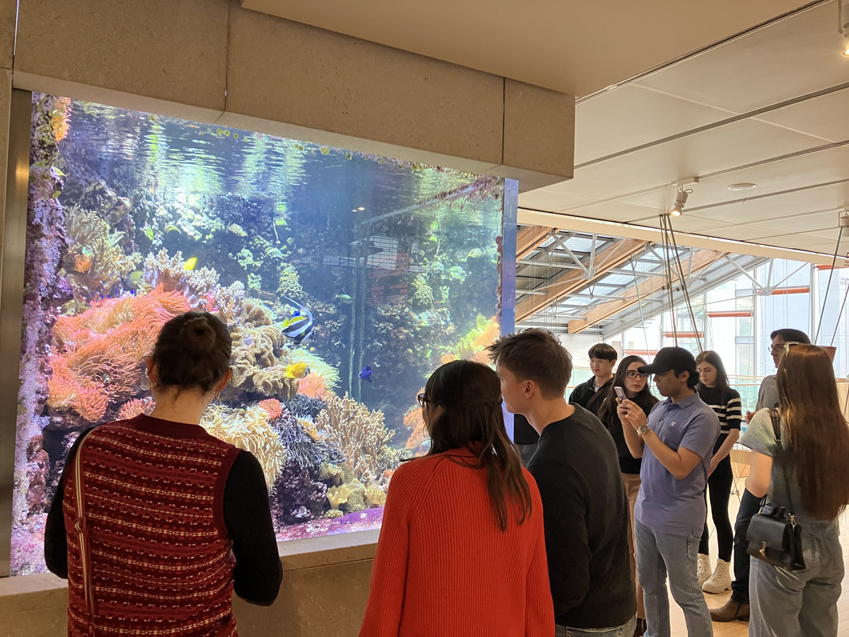 Participants observing the fish in an aquarium 