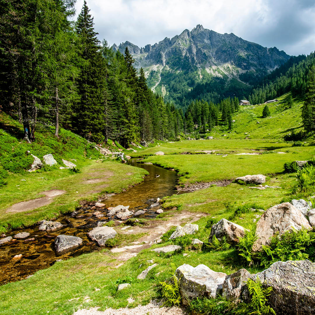 Vista della Val Campelle 2022_07_02_Alvise ©Adobe Stock UniTrento 