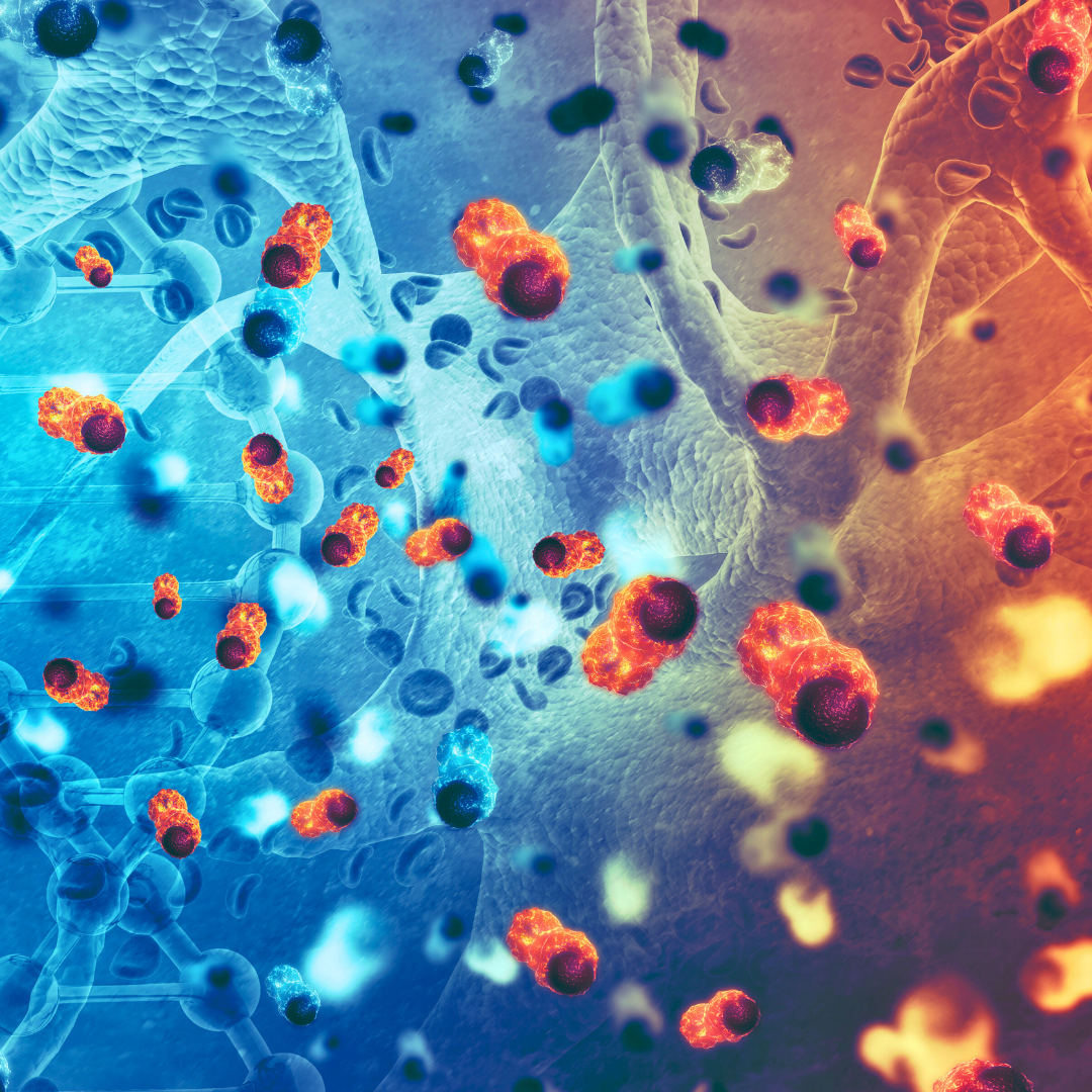 Immagine Cancer cells