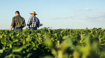 7° censimento agricoltura