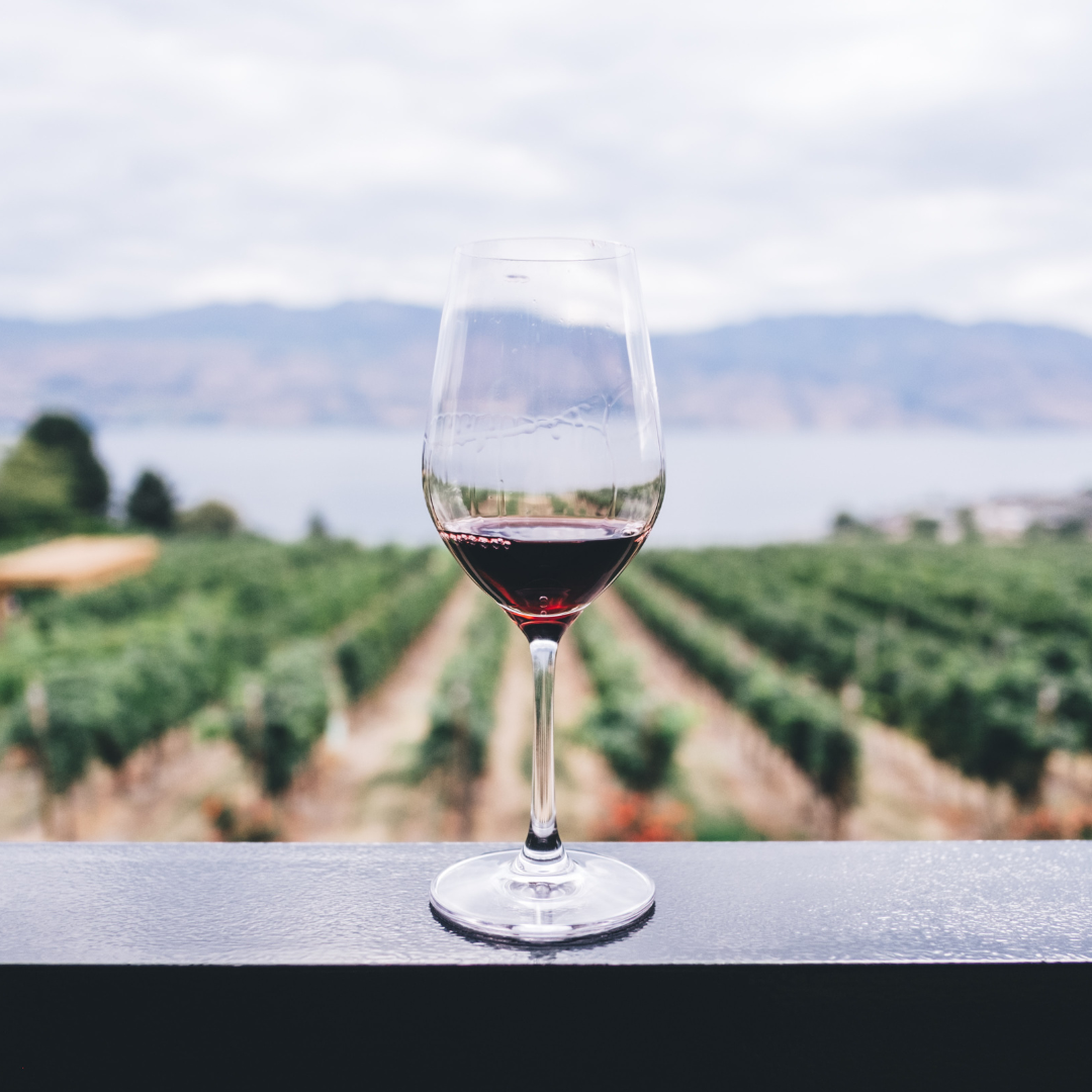 Un sorso di vino, mille filari nella mente
