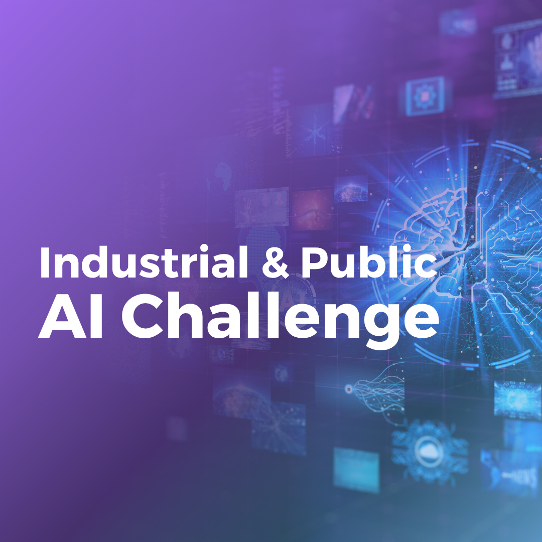 AI & Public Challenge 2025