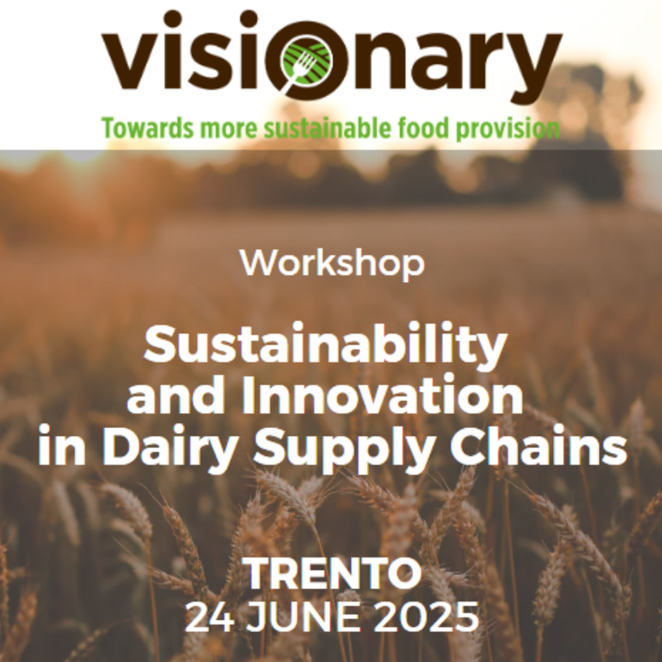 Workshop VISIONARY DEM june 24
