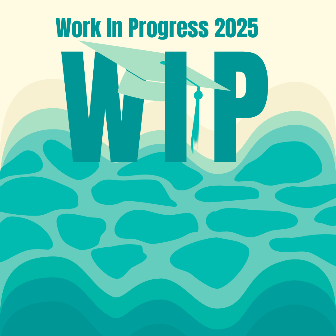 immagine wip 2025