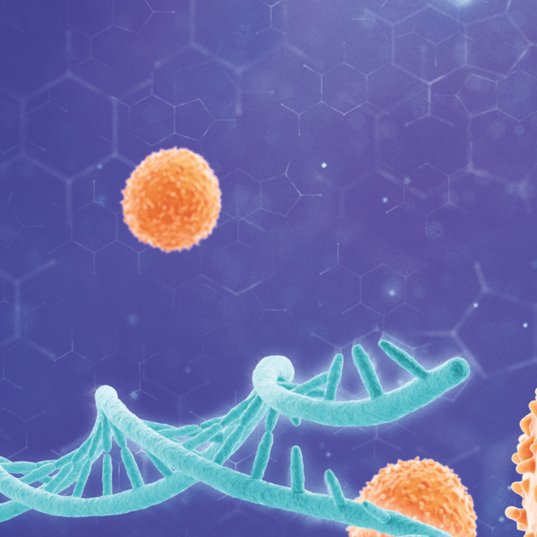 Immagine single-cell and nuclei sequencing