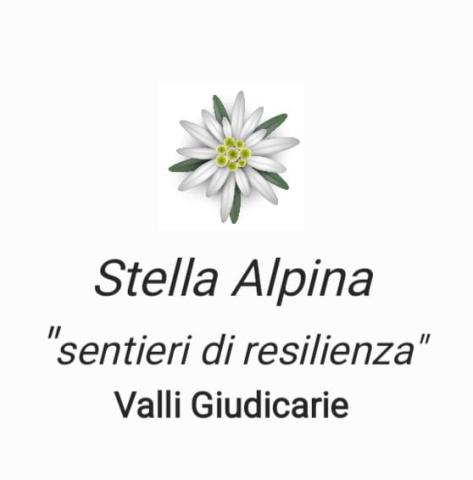 Logo partner