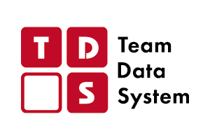 Logo Team Data System