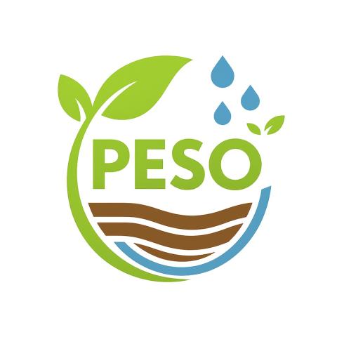 Logo PESO