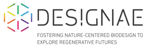 Designae logo