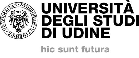 University of Udine