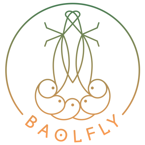 BAOLFLY