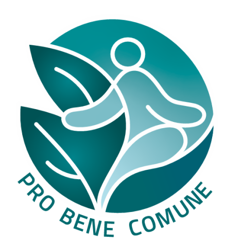 Logo PRO-BEN2