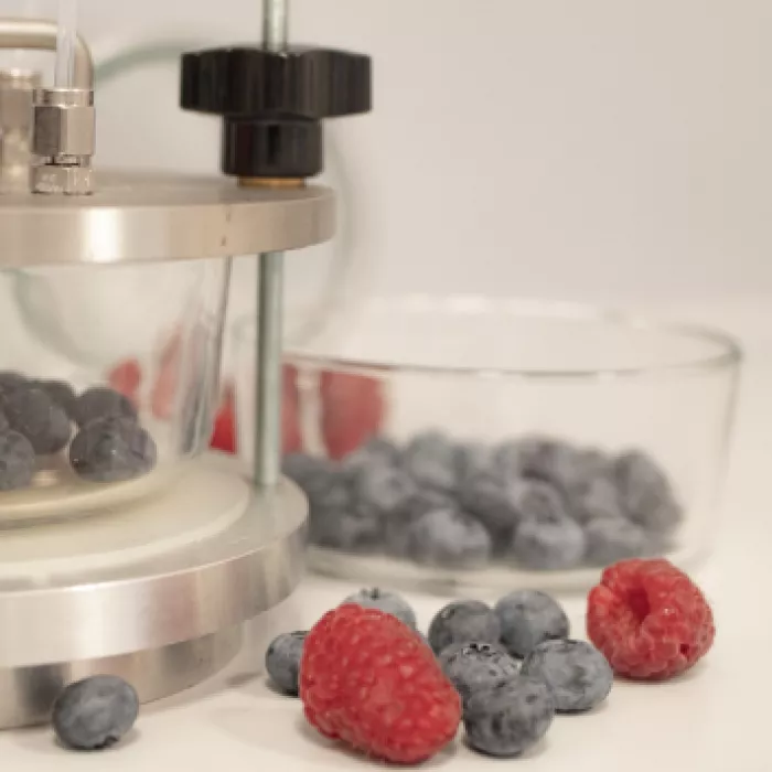 Berries