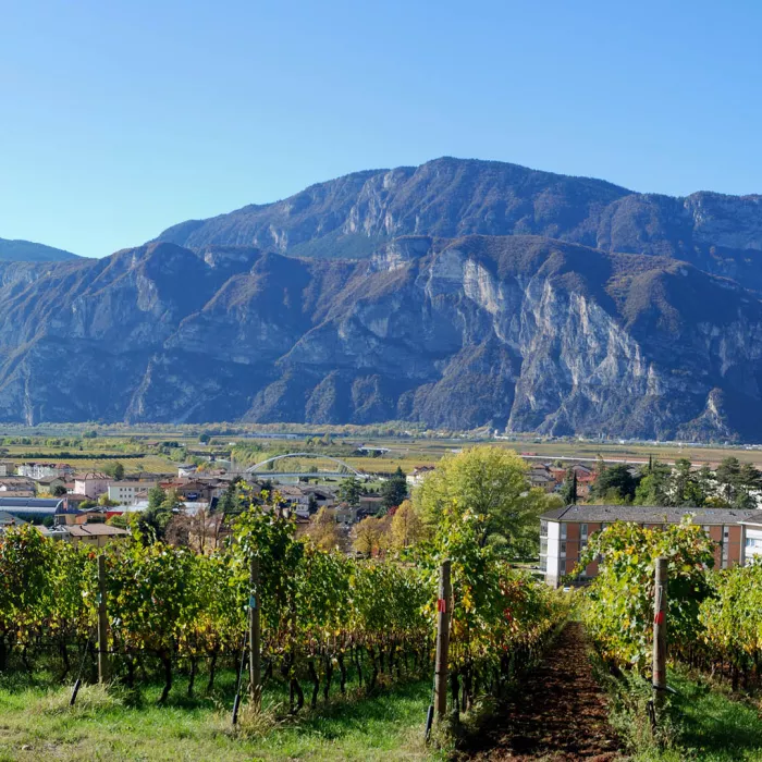 vista del paesaggio dal c3a