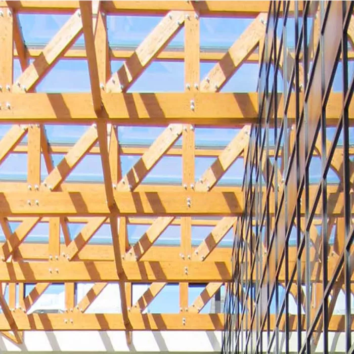 interno tetto Palazzo Prodi