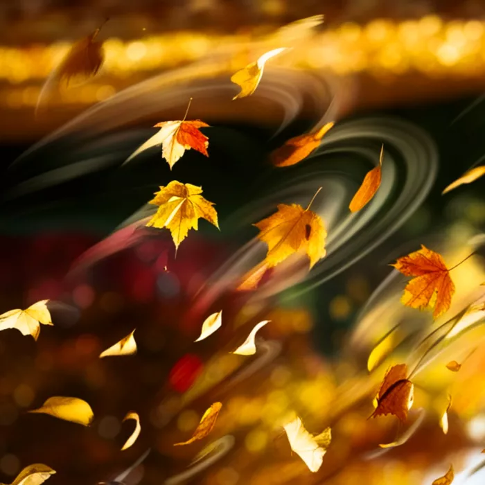 Immagine seminari interni novembre