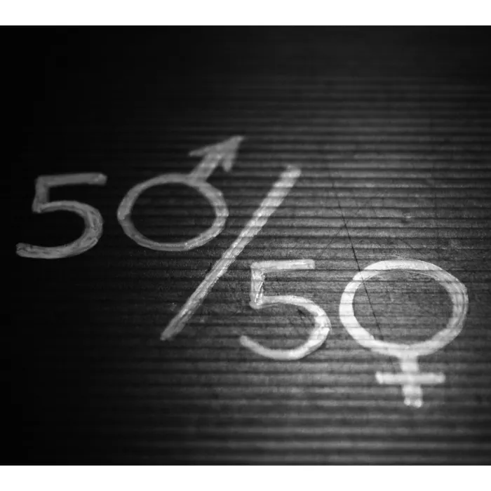 Immagine con maschile/femminile