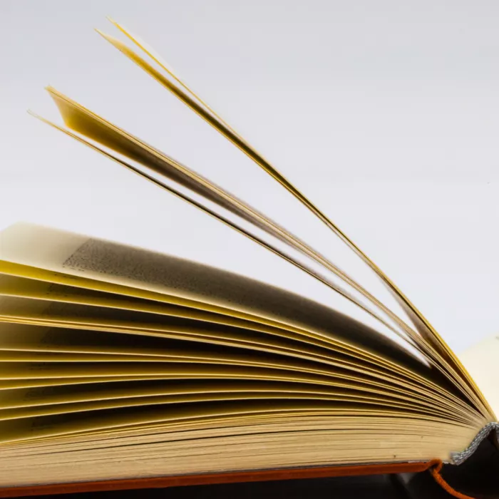 Pagine di libro aperto