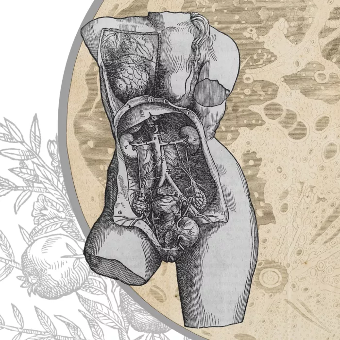 Busto femminile con interiora esposte