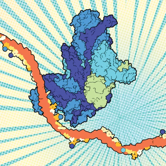 immagine logo pop art