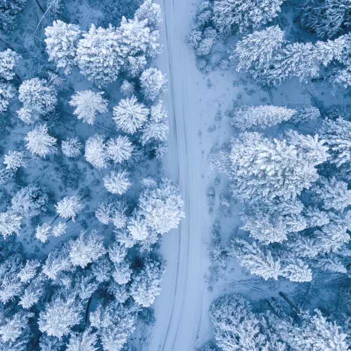 Immagine seminari interni dicembre