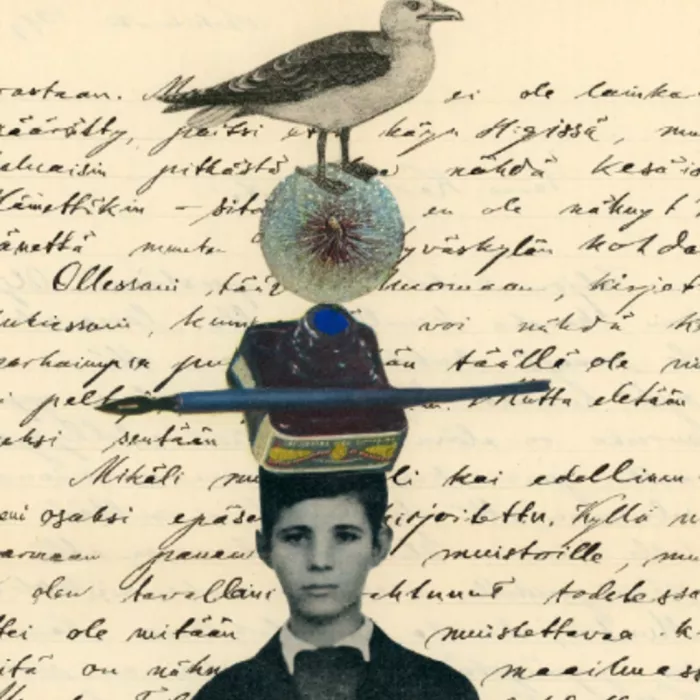 Petra Giacomelli, Lettera a un gabbiano