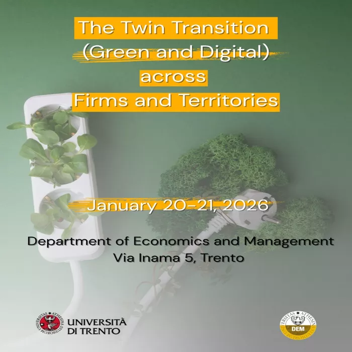 The Twin (Green and Digital) Transition across Firms and Territories
