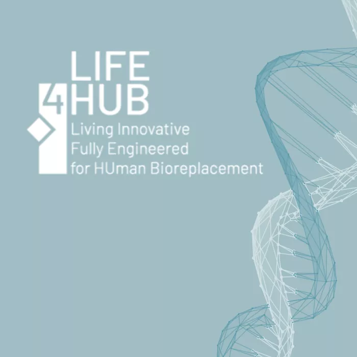 Life4Hub banner