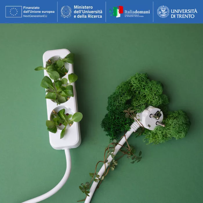 cavi e prese elettriche, germogli verdi