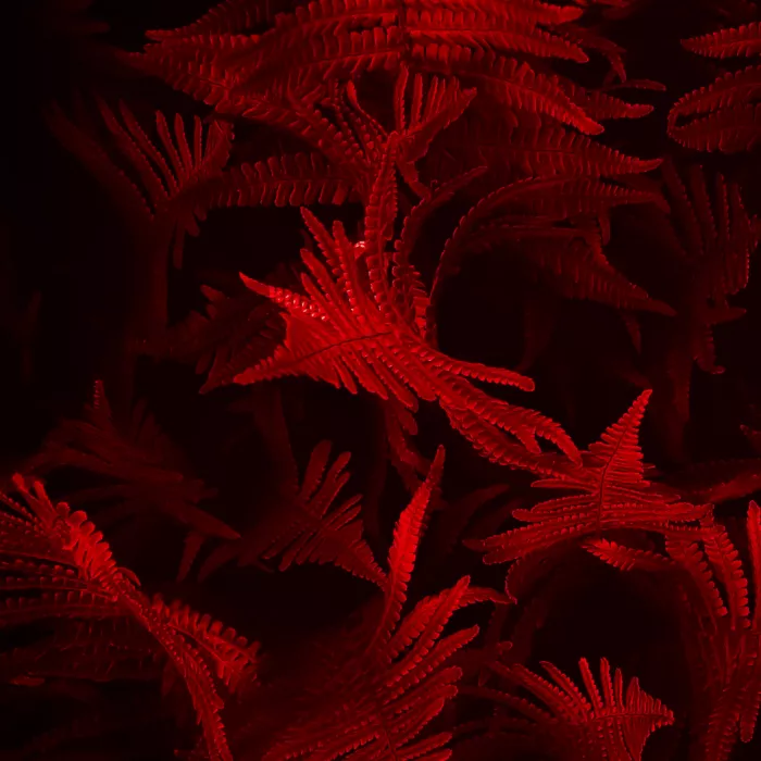 Immagine seminario febbraio 2026