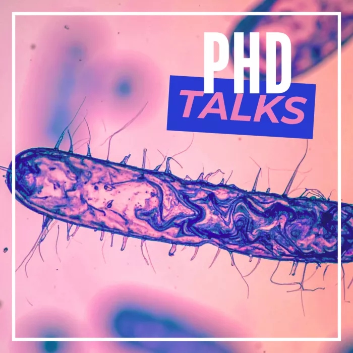 Phd TALKS image