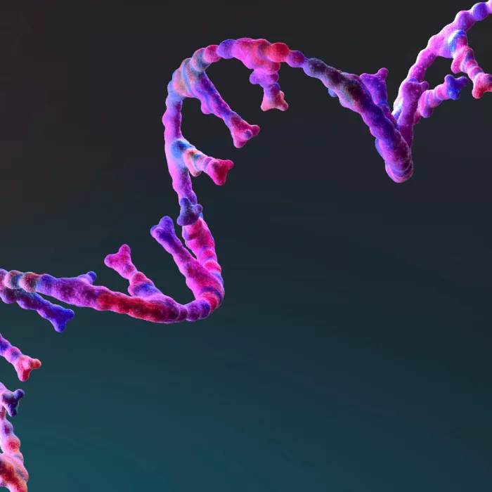 Immagine seminari interni marzo 2026