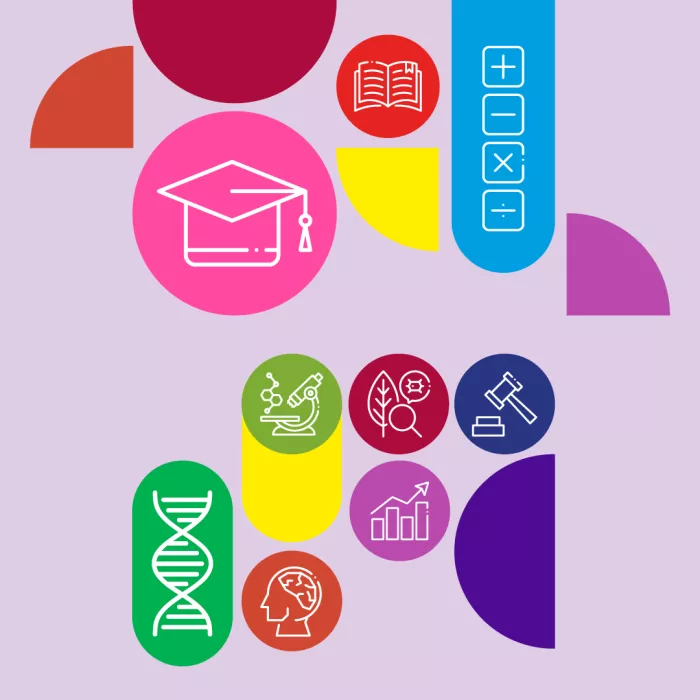 Scuola estiva di orientamento 2026