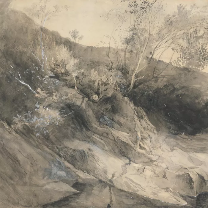 Ruskin - The Rocky Bank of a River