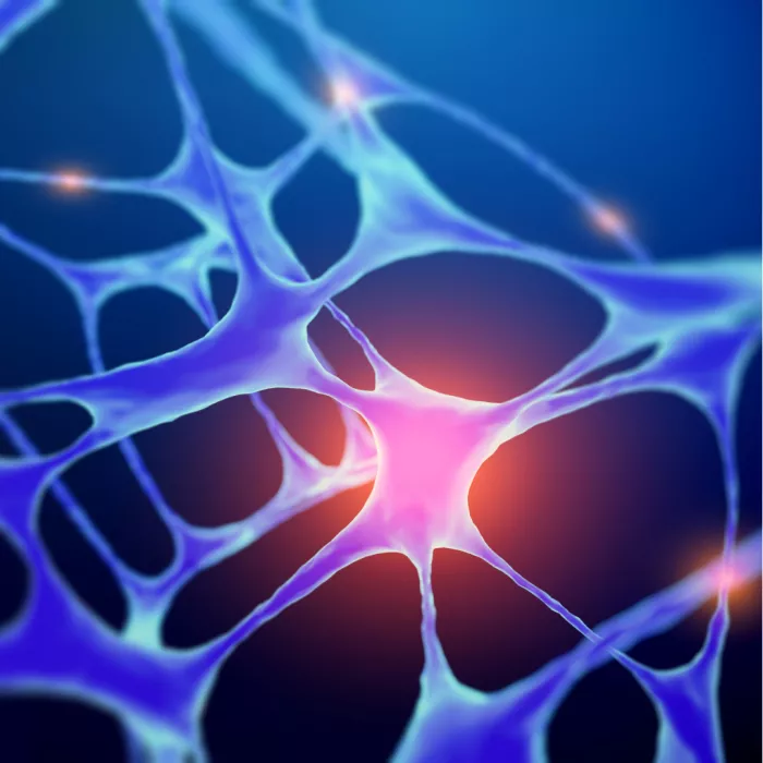 Caiazzo Seminar Image