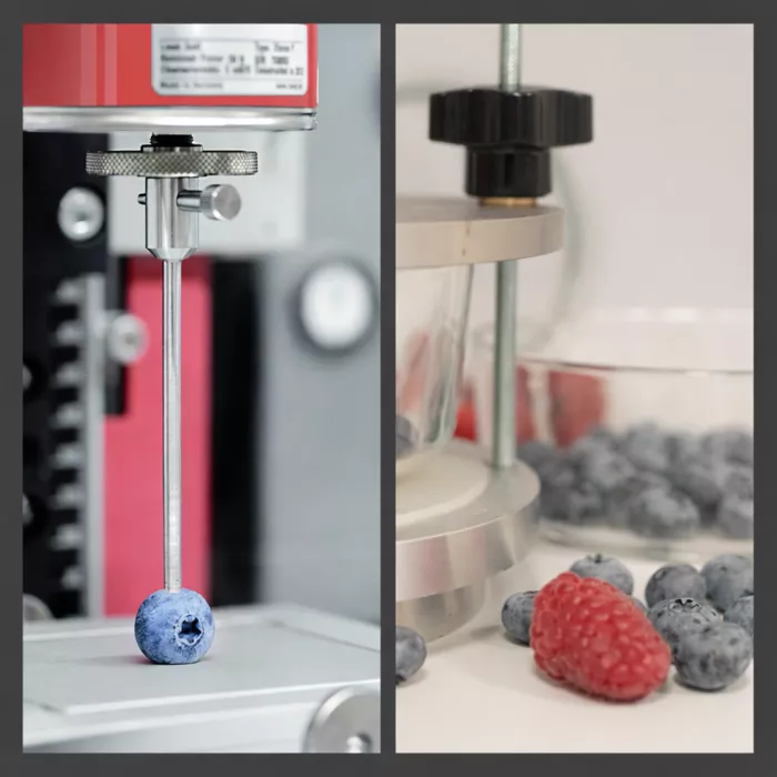 biodiversità agroalimentare