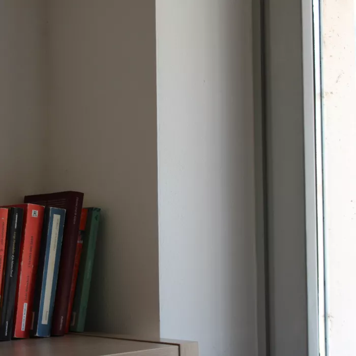 Books on a shelf in the Clesio College