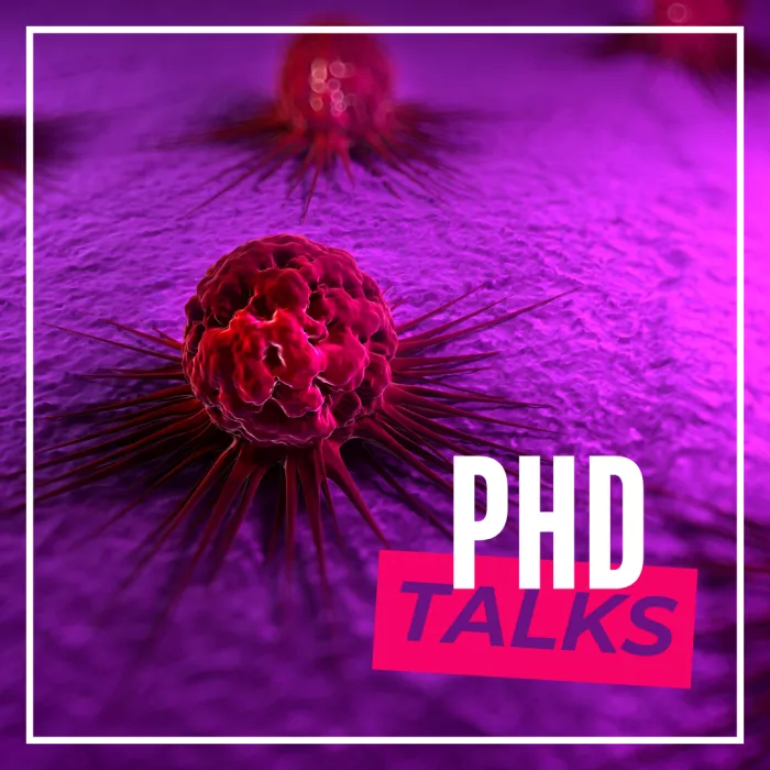 immagine phd talks