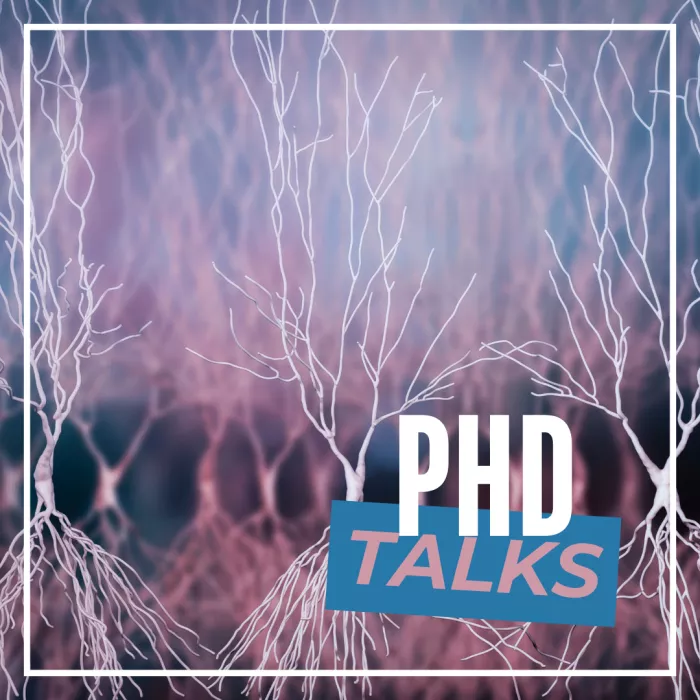 Phd Talks 6
