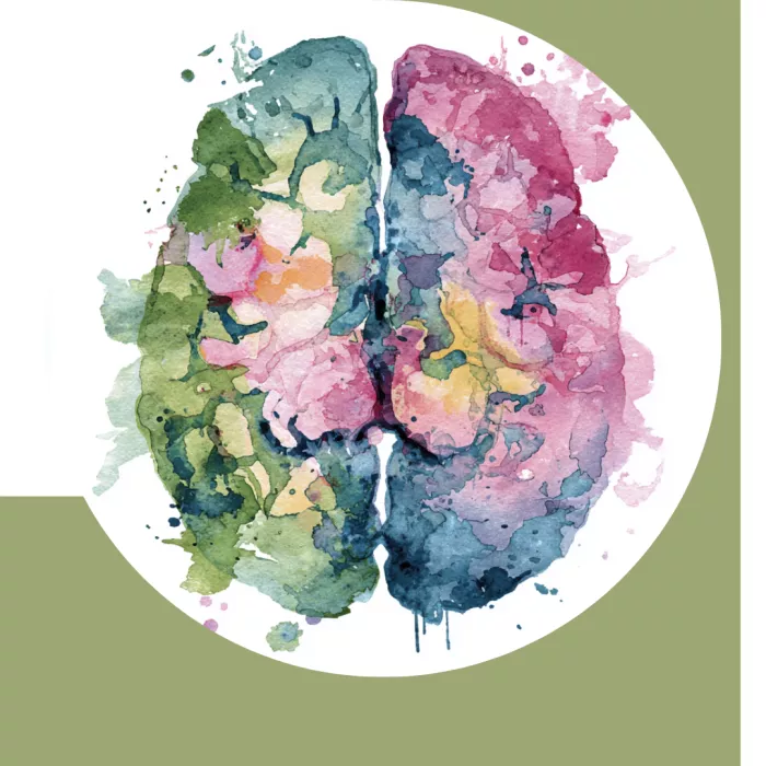 immagine per il seminario su NORGE del 13 maggio 2026, tenuto dal prof. Villani Direttore U.O. Neurofisiopatologia dell'Ospedale Policlinico San Martino di Genova  