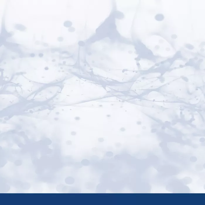 logo_evento