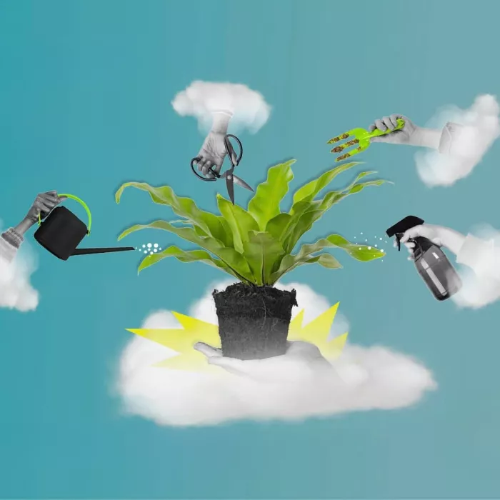 Grafica elaborata da Fondazione Hub Innovazione Trentino (HIT)
