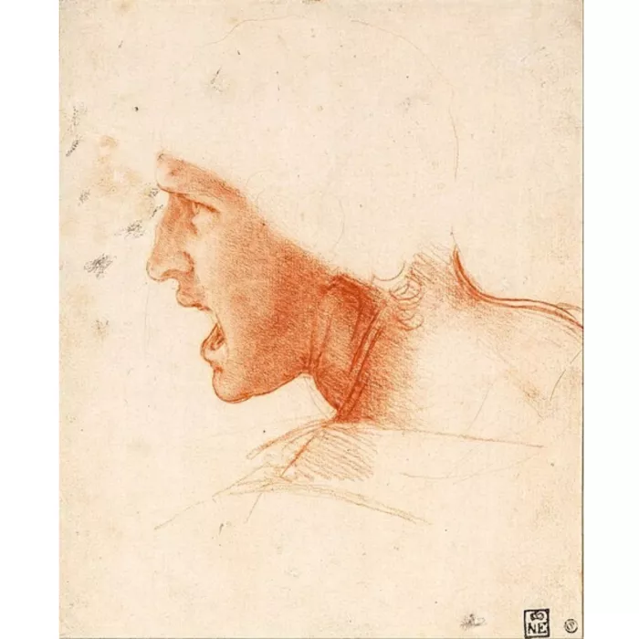 Disegno di Leonardo Da Vinci