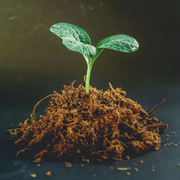 Microbioma e agricoltura sostenibile